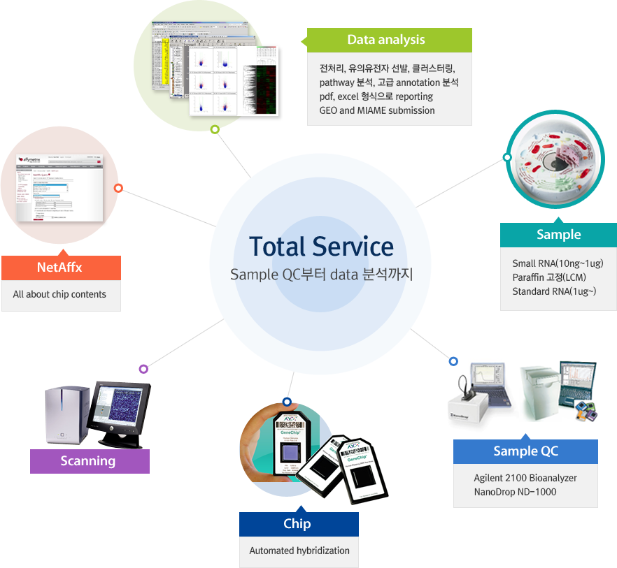 그림1. 분석서비스 과정